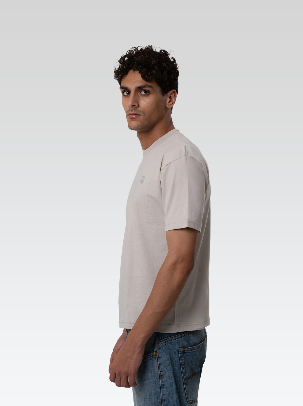 Box fit tee (stone grey)