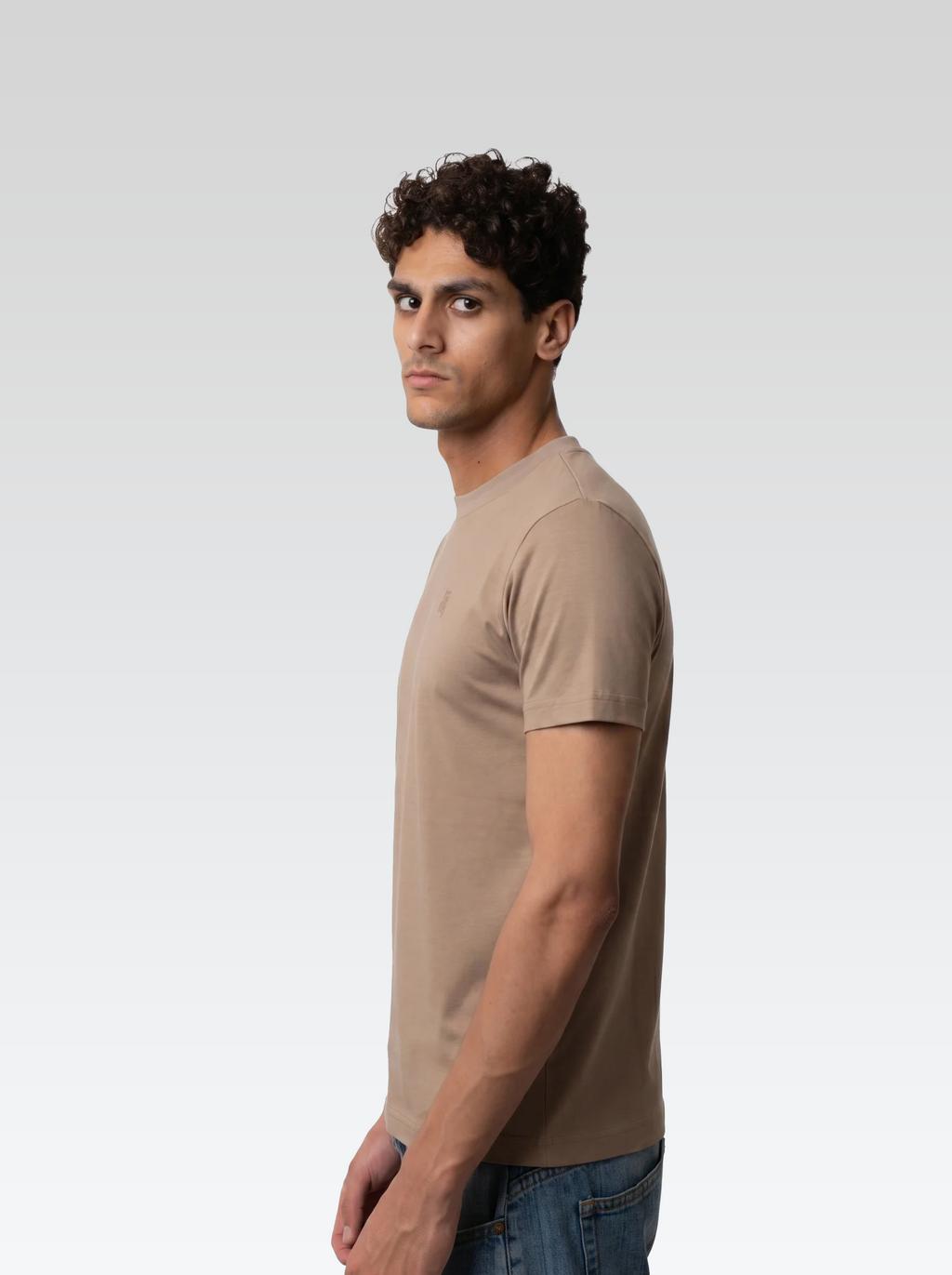 Regular fit tee (Brown)