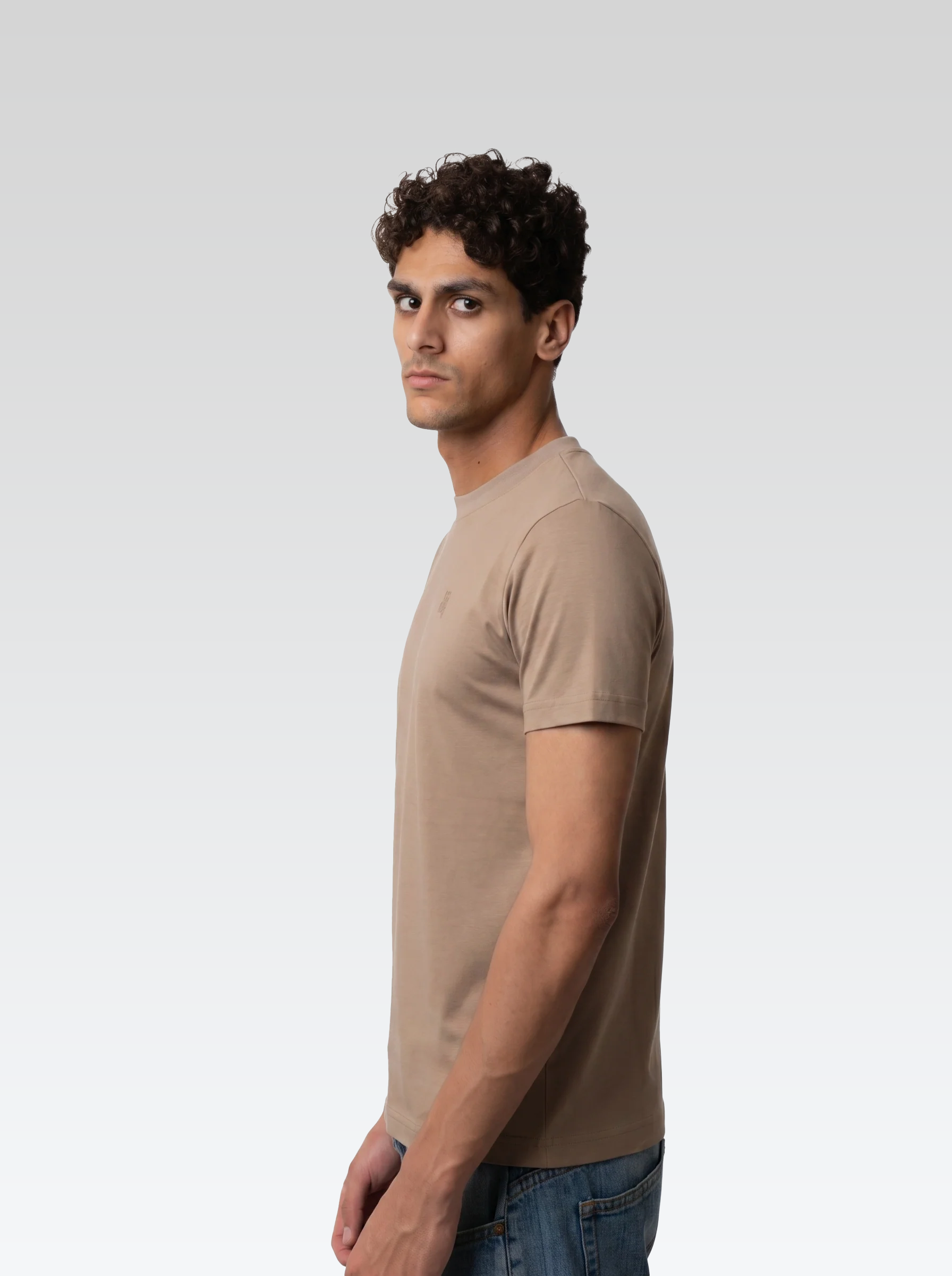 Regular fit tee (Brown)