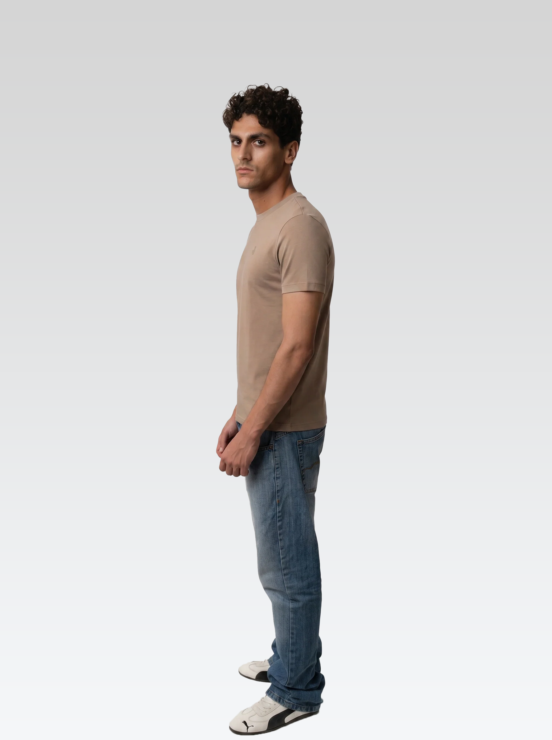 Regular fit tee (Brown)